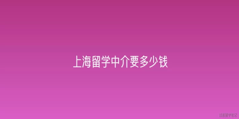 上海留学中介要多少钱:上海留学中介的收费标准大概是多少？